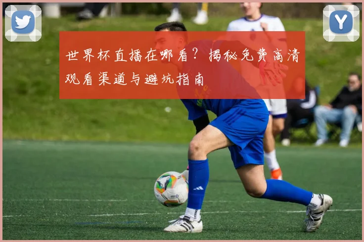 世界杯直播在哪看？揭秘免费高清观看渠道与避坑指南