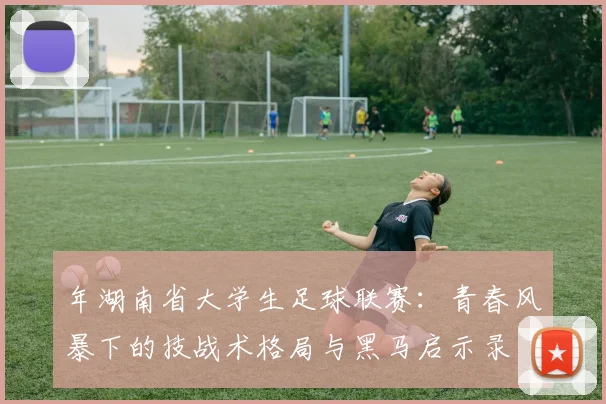 年湖南省大学生足球联赛：青春风暴下的技战术格局与黑马启示录